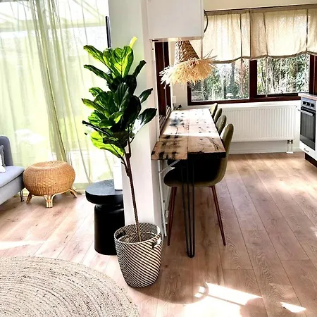 Cozy Family House With Spacious Garden In The Nature Near Amsterdam