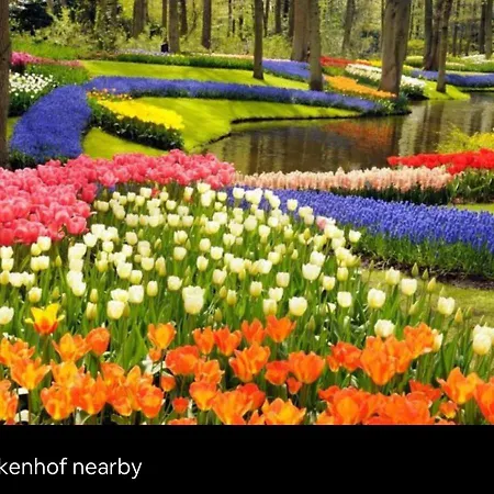 Cozy Family With Spacious Garden In The Nature Between Amsterdam Haarlem And Schiphol Airport